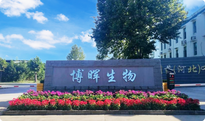 博暉生物制藥（河北）有限公司